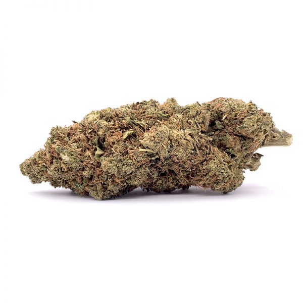 Hercules-Sativa-CBD-Flower-600x600